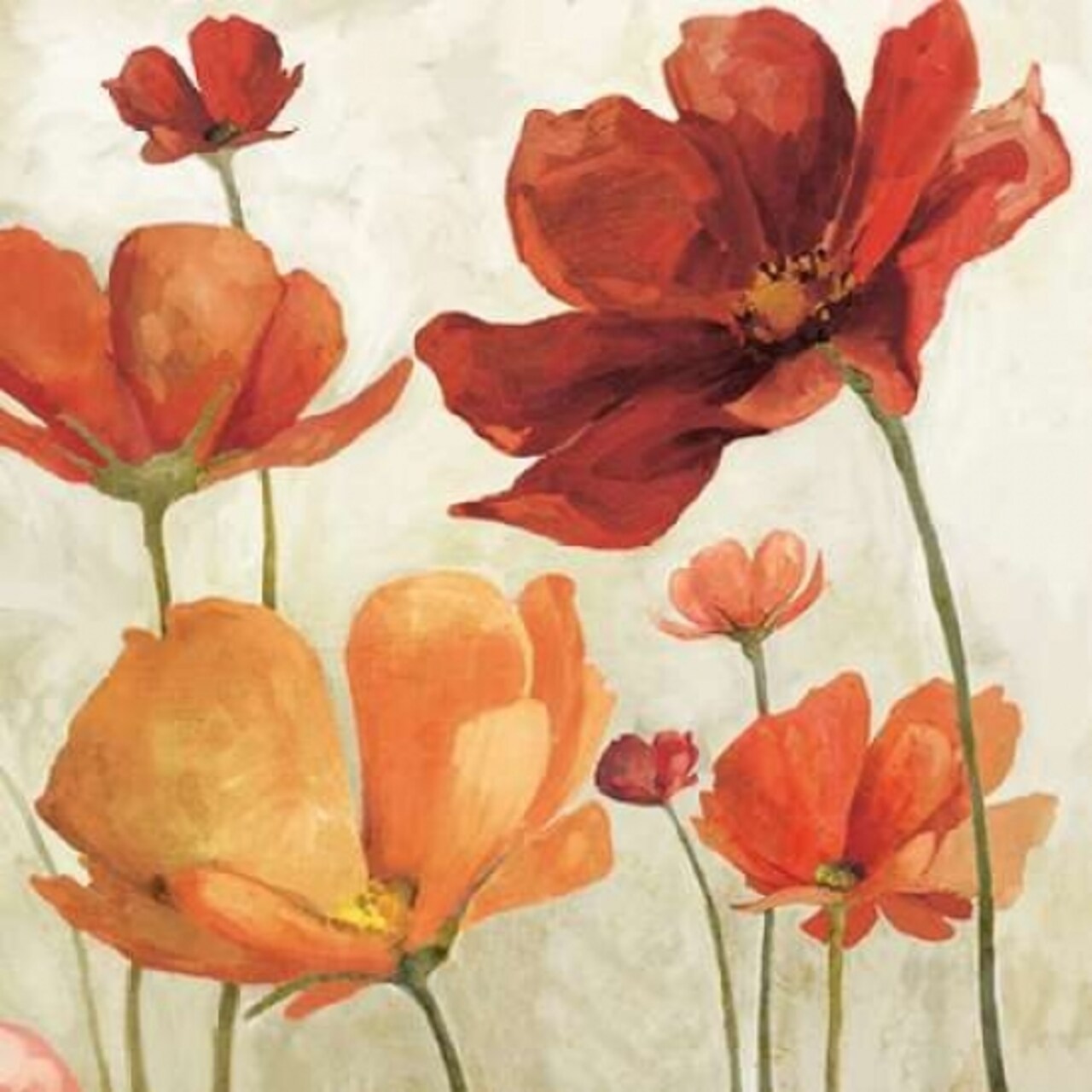 Spice Garden II Poster Print by Vittorio Milan - Item # VARPDXRB11616VM